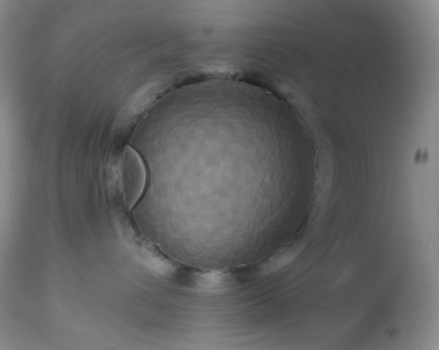 X0000113050432200908271535