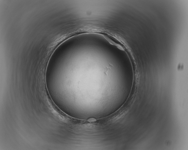 X0000113050433200908271535