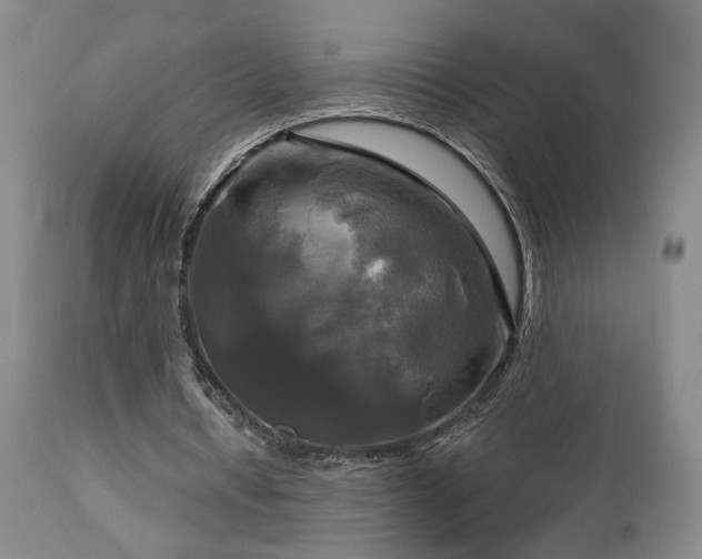 X0000113050434200908271535