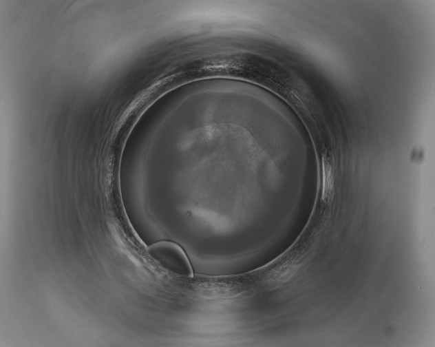 X0000113050435200908271535