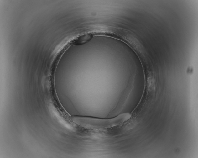 X0000113050436200908271535