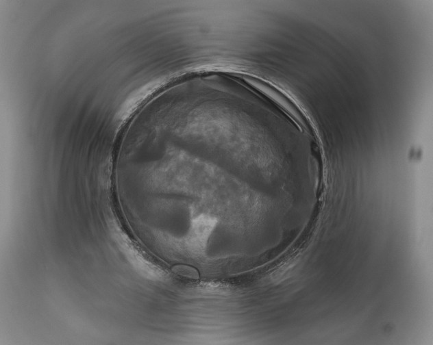 X0000113050437200908271535