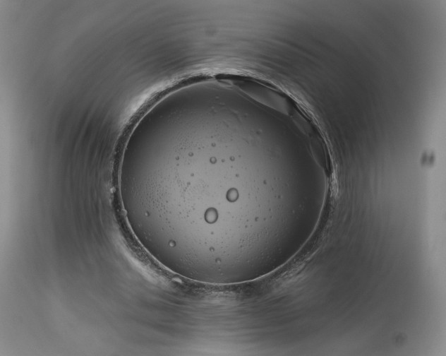 X0000113050438200908271535