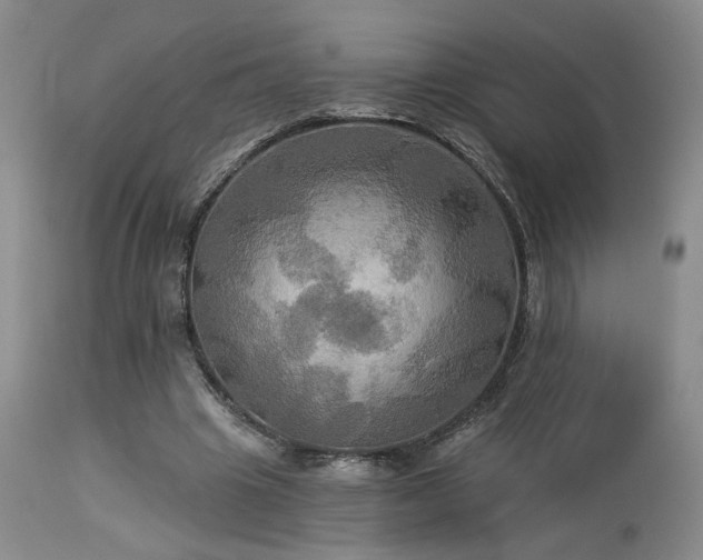 X0000113050441200908271535