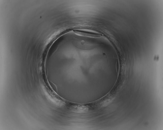 X0000113050443200908271535