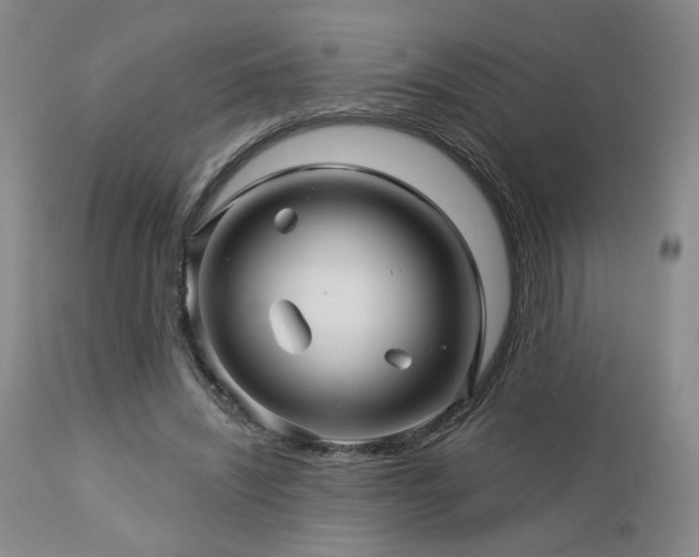 X0000113050444200908271535