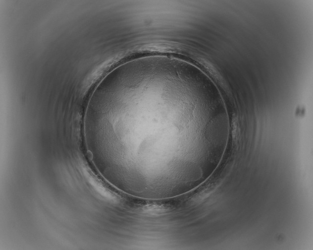 X0000113050445200908271535