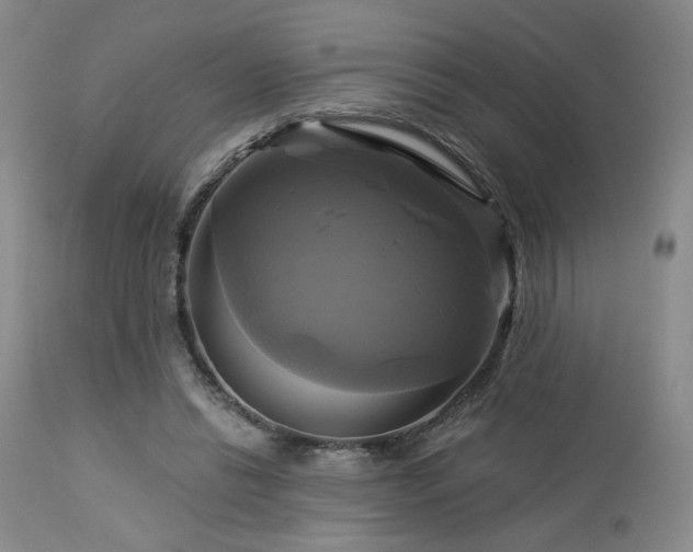 X0000113050446200908271535