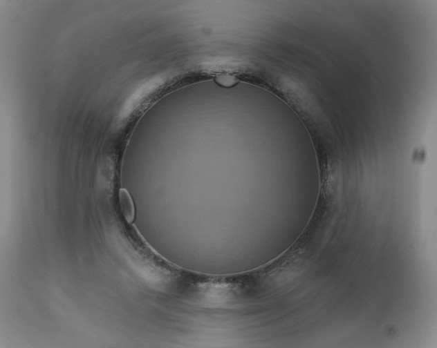 X0000113050448200908271535