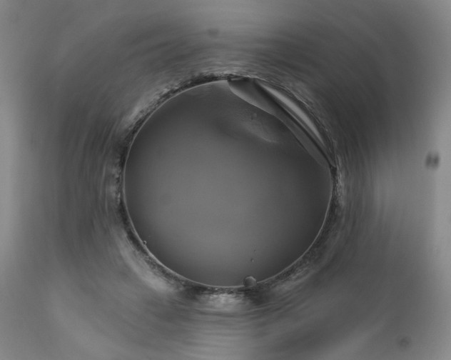 X0000113050449200908271535