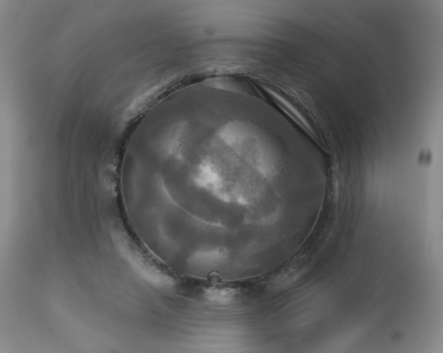 X0000113050450200908271535