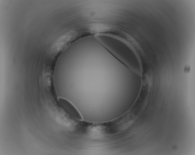 X0000113050452200908271535