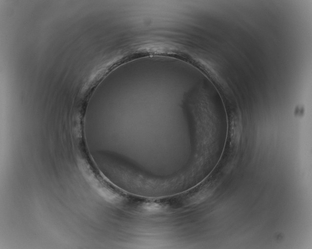 X0000113050453200908271535