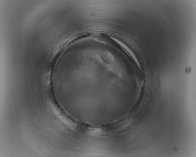 X0000113050454200908271535