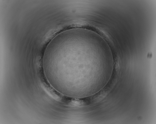 X0000113050455200908271535