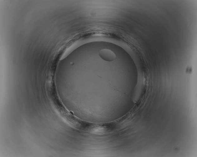 X0000113050456200908271535