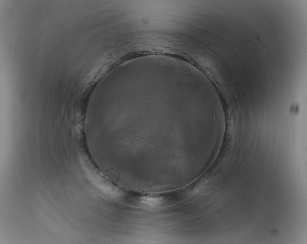 X0000113050457200908271535