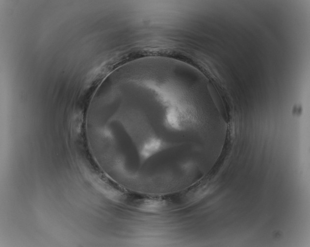 X0000113050458200908271535