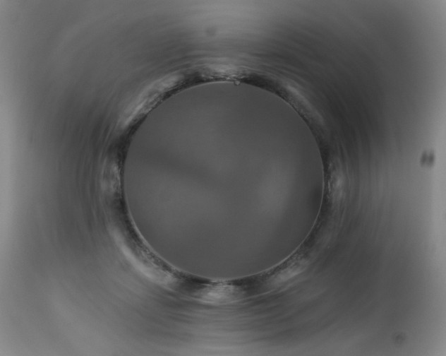 X0000113050459200908271535