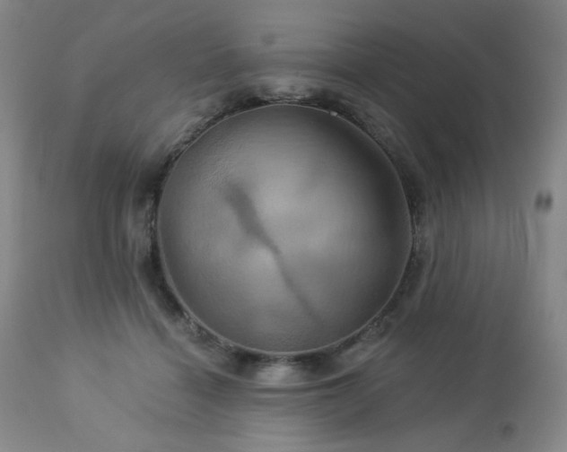 X0000113050460200908271535