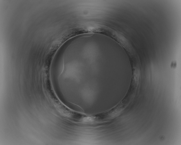 X0000113050461200908271535