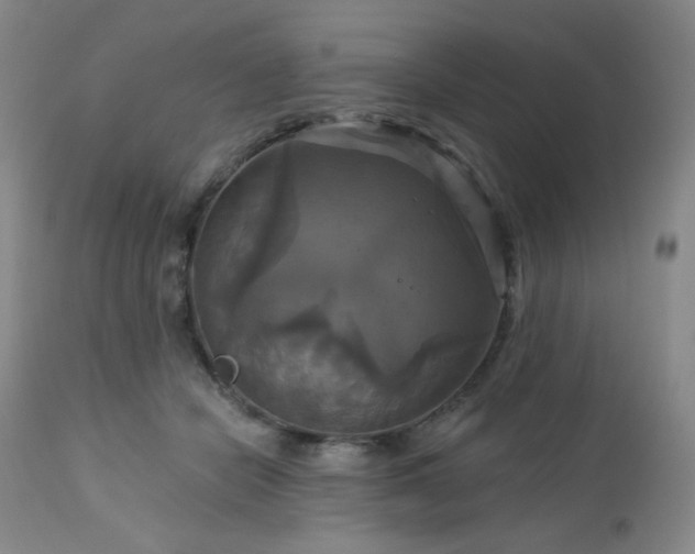 X0000113050462200908271535