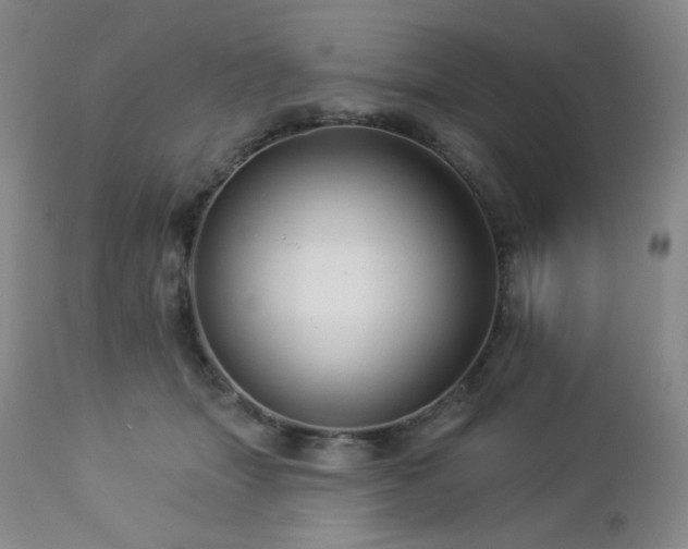 X0000113050463200908271535