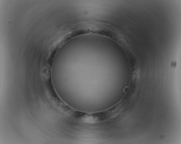 X0000113050464200908271535