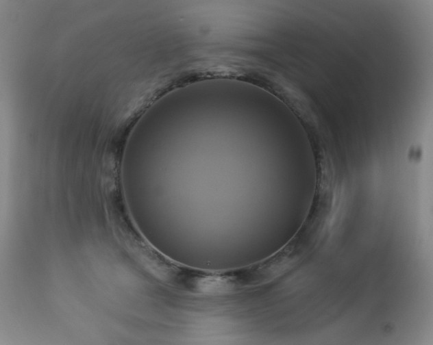 X0000113050465200908271535