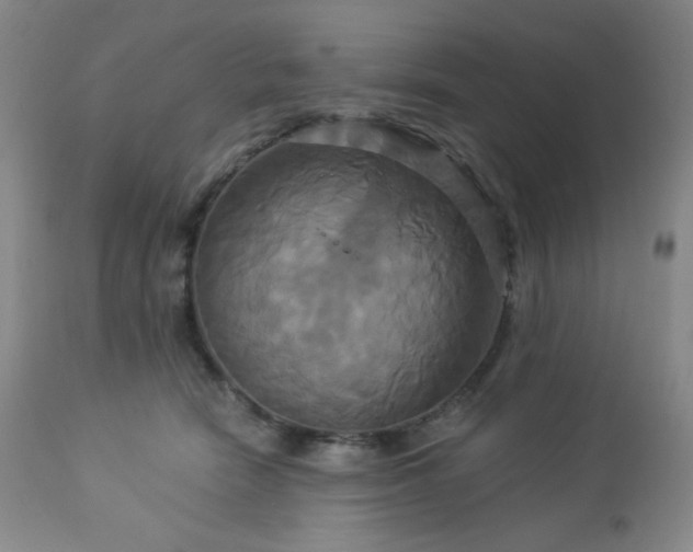 X0000113050466200908271535