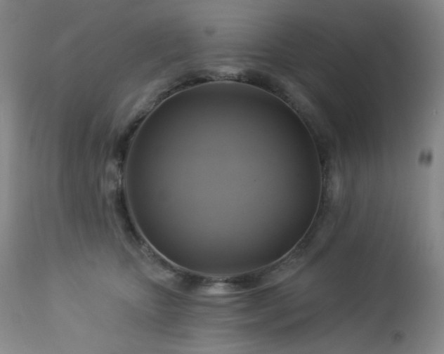 X0000113050467200908271535