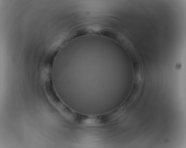 X0000113050468200908271535