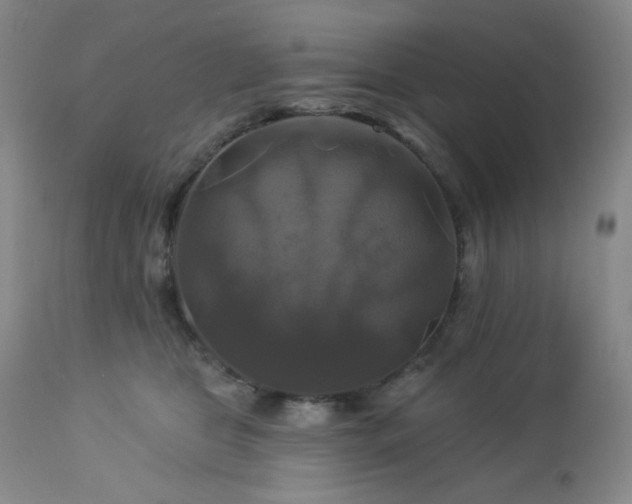 X0000113050469200908271535