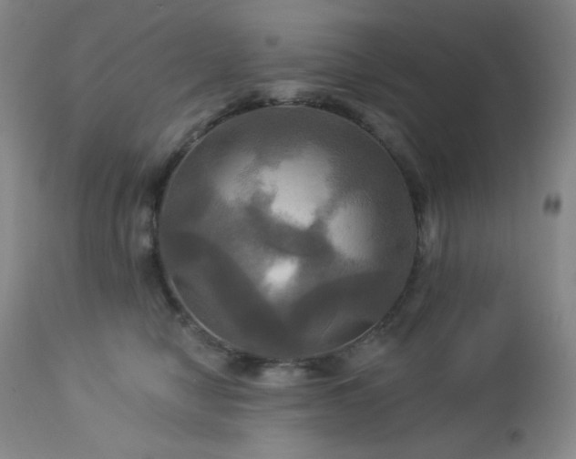 X0000113050470200908271535