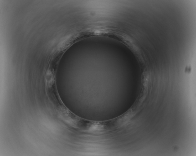 X0000113050471200908271535