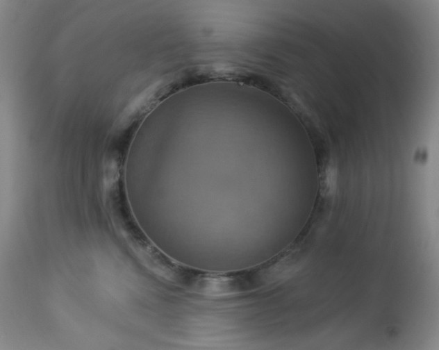 X0000113050472200908271535