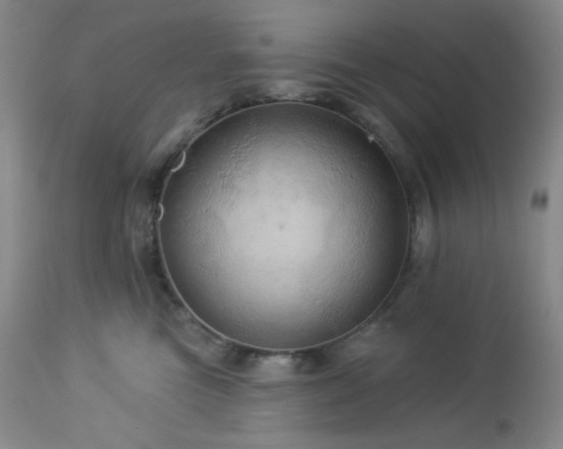 X0000113050473200908271535