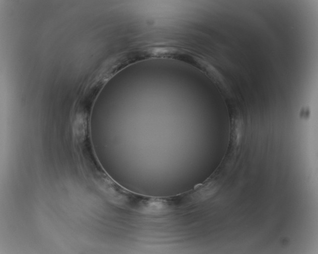 X0000113050475200908271535