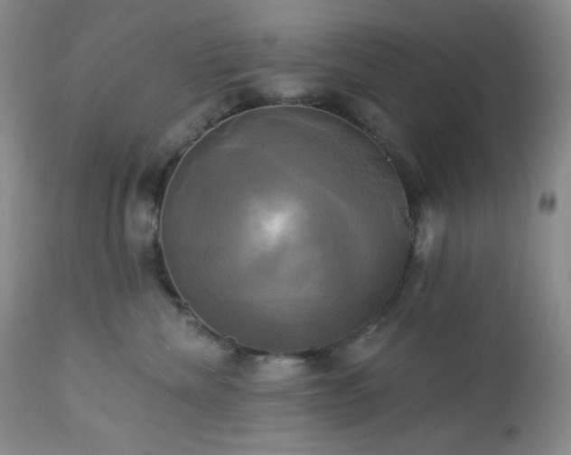 X0000113050476200908271535