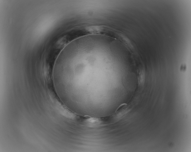 X0000113050477200908271535