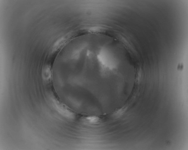 X0000113050478200908271535