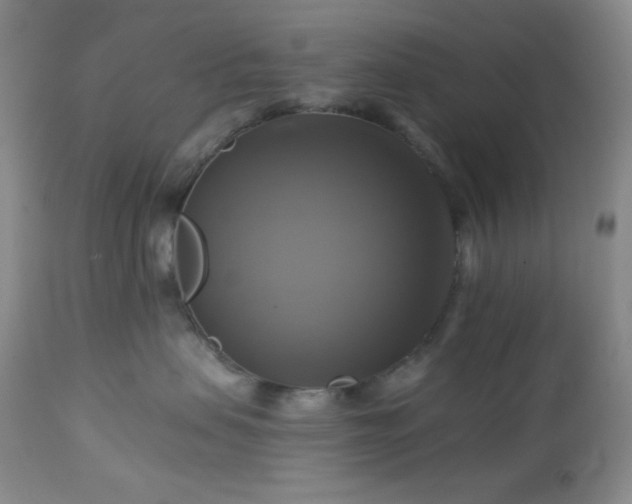 X0000113050479200908271535