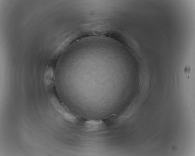 X0000113050480200908271535