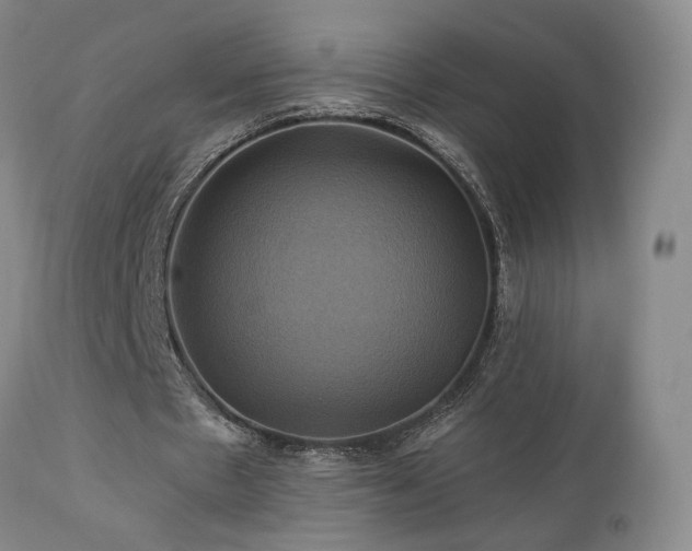 X0000113050481200908271535