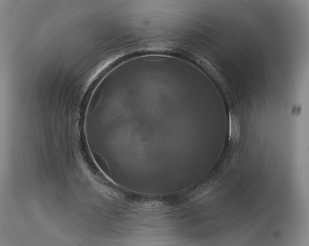 X0000113050483200908271535