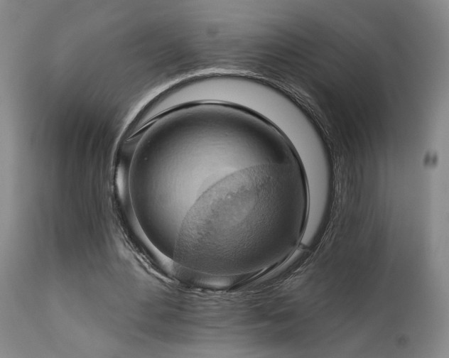 X0000113050484200908271535