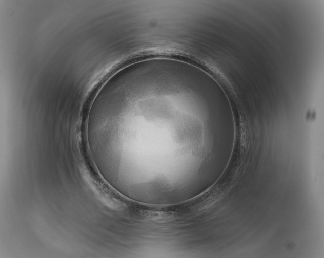 X0000113050486200908271535