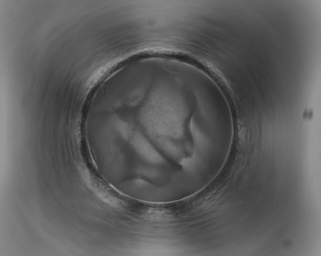 X0000113050487200908271535