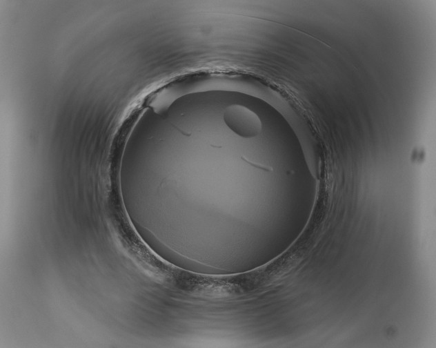 X0000113050488200908271535