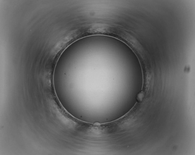 X0000113050489200908271535